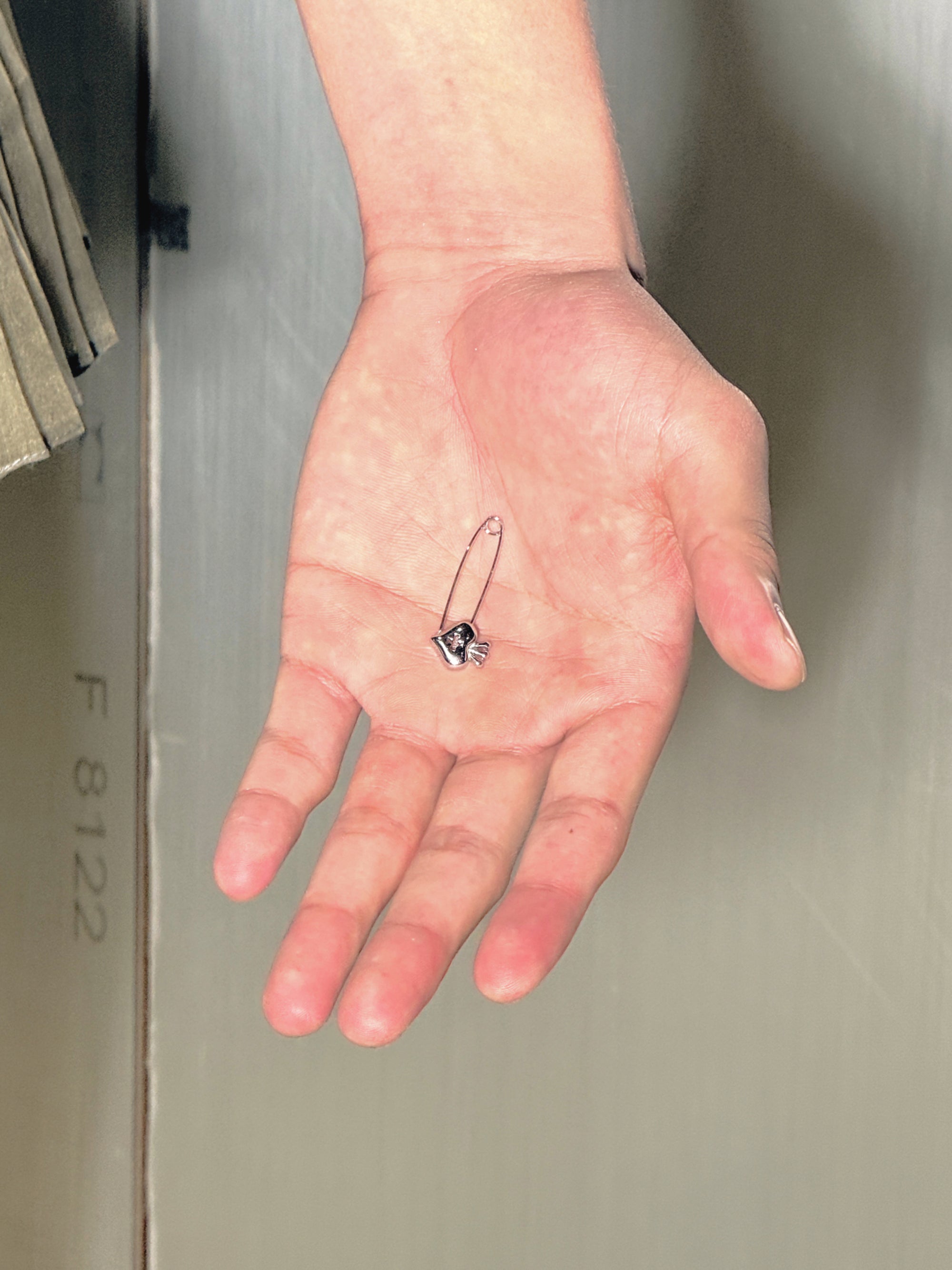 Safety Pin
