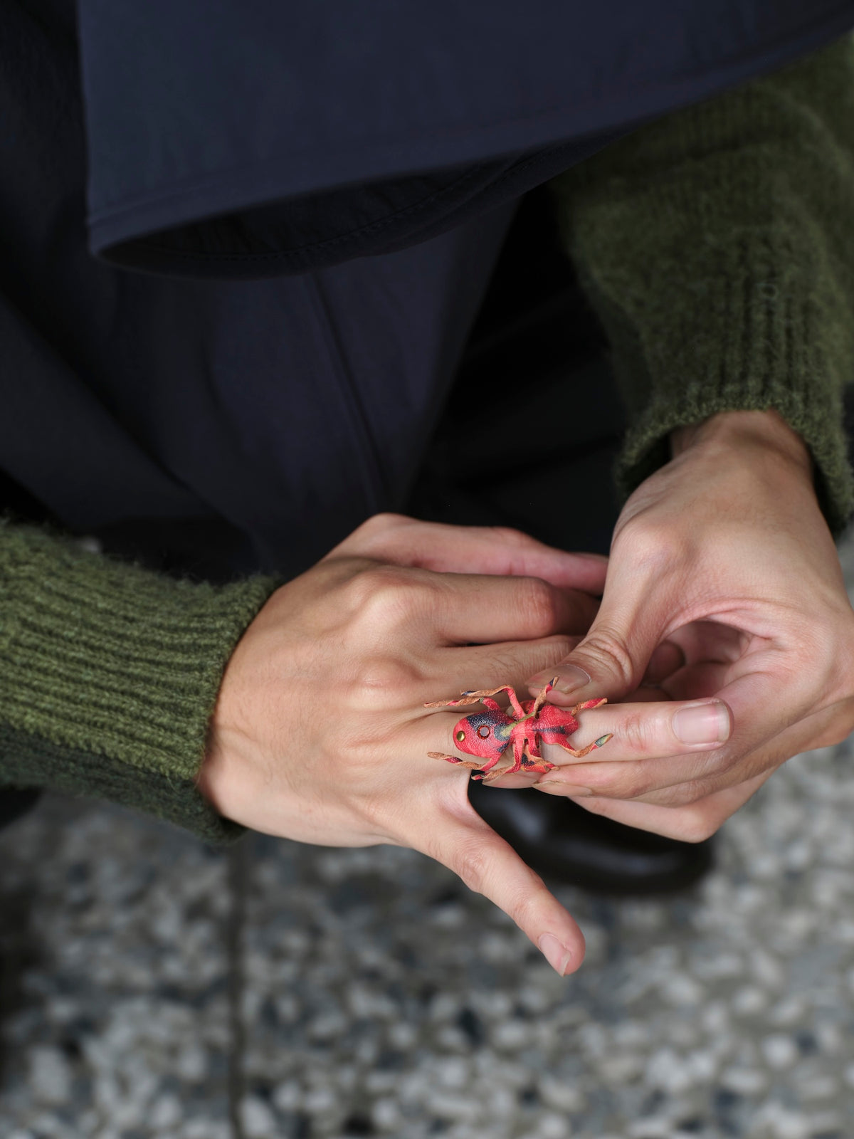 Chili Ant Ring